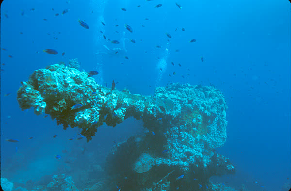 Cañón cubierto de corales en la proa de un barco hundido, bajo el agua