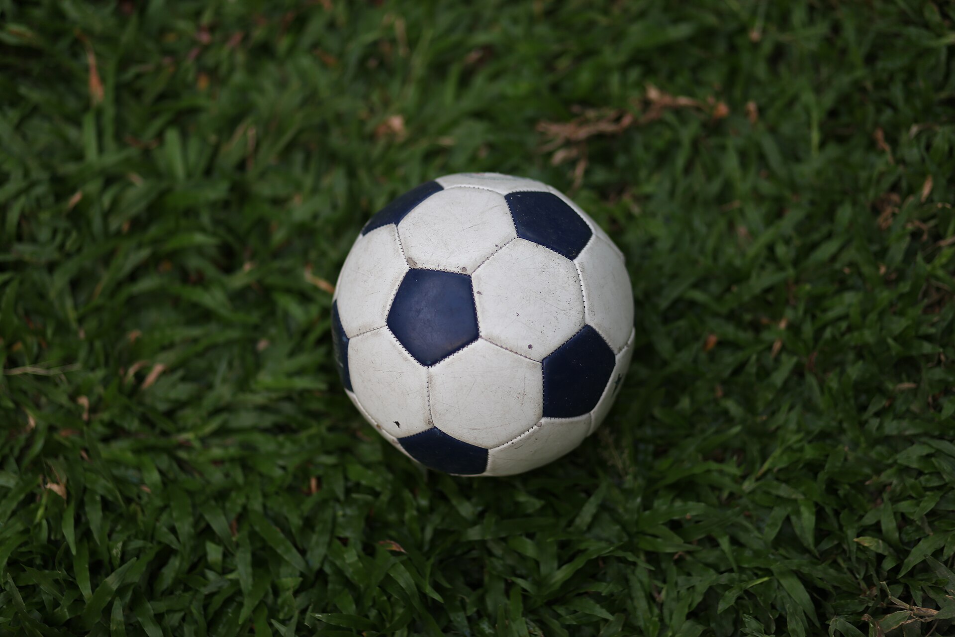 A white soccer ball with dark blue pentagons on the grass