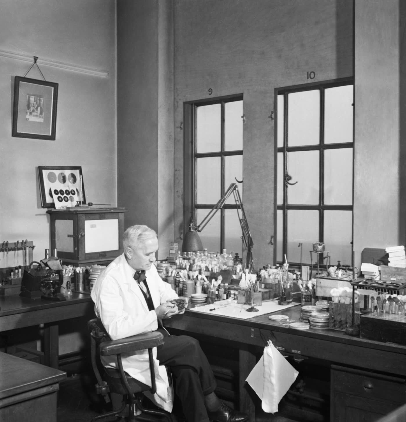 Alexander Fleming trabajando en su laboratorio