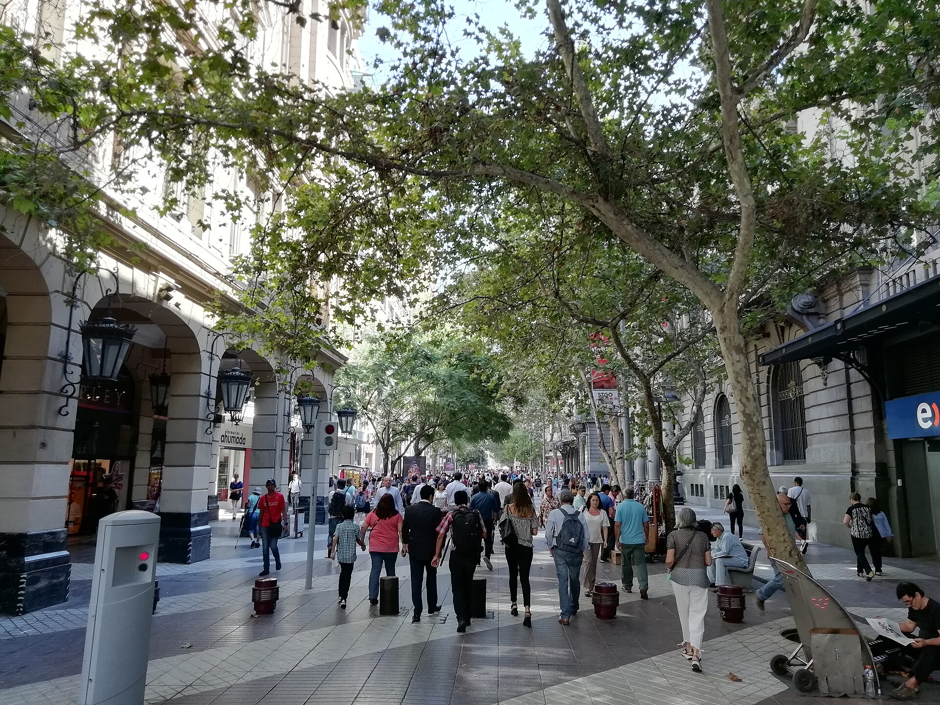 Many people walking away from the camera along a tree-lined pedestrian street in central Santiago, between old buildings