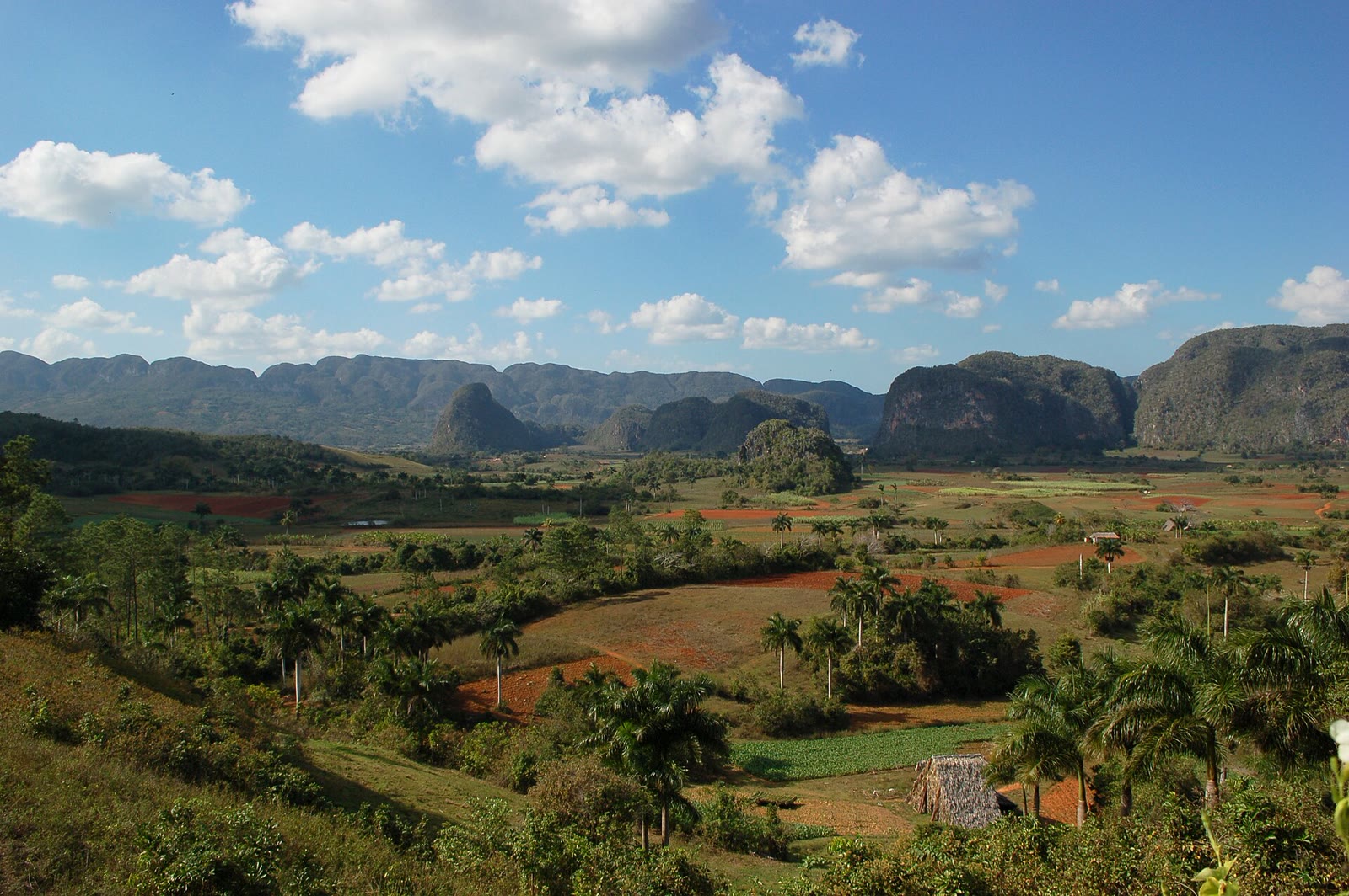 Paisaje del valle de Viñales, en Pinar del Río, con mogotes y campos verdes